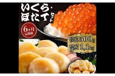 282-1 【定期便６か月】いくら醤油漬け500gほたて1.1kgセット×６回