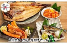 11-212 【敬老ギフト】丸富農水お試し海産物セットＡ