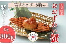 20-299 【敬老ギフト】【北海道産】特大サイズ オオズワイガニ姿　800g以上1尾 ｜ 蟹酢・山わさび付　かに　おおずわいがに