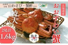 35-52 【敬老ギフト】【北海道産】オオズワイガニ姿　特大サイズ2尾計1.6kg ｜ 蟹酢・山わさび付　かに　おおずわいがに