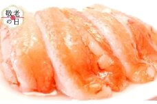 12-275 【敬老ギフト】生冷 ズワイ棒ポーション可食部100%で500g