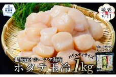 19-91 【敬老ギフト】北海道オホーツク海産ホタテ玉冷バラエティサイズ(1kg)｜ 訳あり サイズ不揃い