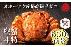 24-109 【敬老ギフト】北海道産ボイル毛がに【四特】 大ｻｲｽﾞ1尾入り（1尾約650ｇ前後）