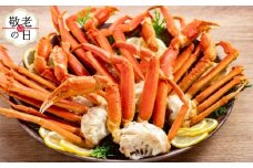 72-17 【敬老ギフト】ボイルズワイガニ切足3kg