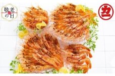 65-11 【敬老ギフト】どどーんと２kgぼたんえびセット
