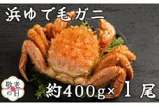 18-152 【敬老ギフト】流氷明け浜ゆで毛ガニ約400g
