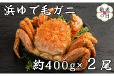 37-20 【敬老ギフト】流氷明け浜ゆで毛ガニ約400g×2尾