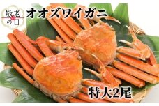 15-346 【敬老ギフト】北海道産　特大ボイルオオズワイガニ姿　２尾　計1.5ｋｇ内外