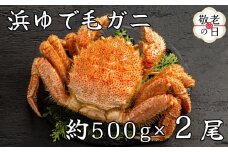 44-52 【敬老ギフト】流氷明け浜ゆで毛ガニ約500g×2尾