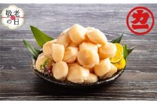 24-117 【敬老ギフト】オホーツク産ほたて貝柱特大サイズ1kg