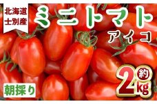 【B7019】＜数量限定＞北海道士別市産 ミニトマト アイコ (約2kg) 【2025年8月中旬以降順次発送】トマト ミニトマト とまと 期間限定 旬 野菜 甘い 北海道産 士別市産 国産 新鮮野菜 【ネオアグリプロジェクト株式会社】