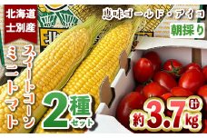 【B7020】＜数量限定＞北海道士別市産 朝採りスイートコーン (8本) ＆ミニトマト アイコ(約500g) 2種セット【2025年8月中旬以降順次発送】コーン トマト ミニトマト とうもろこし とまと 期間限定 旬 野菜 甘い 北海道産 【ネオアグリプロジェクト株式会社】