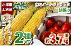 【B7020】＜数量限定＞北海道士別市産 朝採りスイートコーン (8本) ＆ミニトマト アイコ(約500g) 2種セット【2025年8月中旬以降順次発送】コーン トマト ミニトマト とうもろこし とまと 期間限定 旬 野菜 甘い 北海道産 【ネオアグリプロジェクト株式会社】