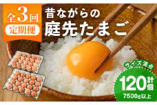 【C7048】《定期便・計3回》昔ながらの庭先たまご (40個×3回 計120個・サイズ混合) 卵 玉子 たまご 定期便 平飼い 40個 濃厚 うまみ 卵かけご飯 目玉焼き 卵焼き ごはん おかず【ファームあるむ】