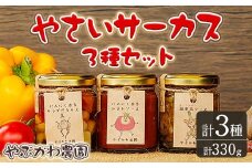 【A7070】やさいサーカス3種セット(トマトソース、油淋鶏ソース：120g・サラダピクルス：90g) トマト トマトソース ソース ニンニク にんにく 調味料 料理 パスタ ピザ チキンソース ピクルス おつまみ おかず 【やぶかわ農園】