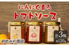 【A7069】にんにく香るトマトソース3種セット(120g×3瓶) トマト トマトソース ソース ニンニク にんにく 調味料 料理 パスタ ピザ 【やぶかわ農園】