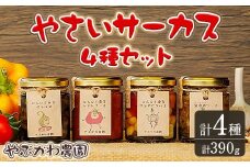 【B7086】やさいサーカス4種セット(トマトソース、油淋鶏ソース：120g・にんにくの芽ピクルス：60g・サラダピクルス：90g) トマト トマトソース ソース ニンニク にんにく ニンニクの芽 調味料 料理 パスタ ピザ チキンソース ピクルス おつまみ おかず 【やぶかわ農園】