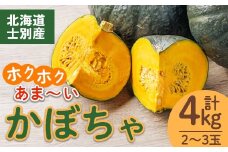 【A7084】北海道士別産 かぼちゃ（計4㎏・2～3玉）【先行予約受付中！9月下旬以降、準備ができ次第順次発送】北海道産 国産 カボチャ 南瓜  野菜 煮物 サラダ 天ぷら 甘い 味覚の秋 【吉方農園】