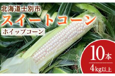【A7097】＜期間限定＞天塩川源流スイートコーン ホイップコーン (10本)【2025年8月下旬より順次発送】北海道産 北海道 士別市 とうもろこし トウモロコシ とうきび コーン 野菜 産地直送 【三栄アグリ】