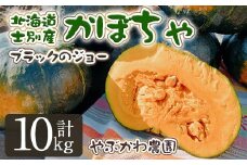【B7116】＜先行予約受付中・期間限定＞北海道士別市産 かぼちゃ ブラックのジョー (10kg・5~8玉) 【2025年10月から12月の間に順次発送】かぼちゃ 南瓜 カボチャ 北海道産 国産 野菜 やさい 甘み 産地直送 おかず 味覚の秋【やぶかわ農園】