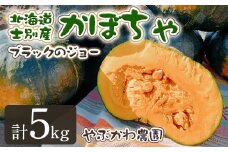 【A7091】＜先行予約受付中・期間限定＞北海道士別市産 かぼちゃ ブラックのジョー (5kg・2~4玉 ) 【2025年10月から12月の間に順次発送】かぼちゃ 南瓜 カボチャ 北海道産 国産 野菜 やさい 甘み 産地直送 おかず 味覚の秋【やぶかわ農園】