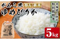 【B7087】＜令和7年産 新米 先行予約！＞田舎塾特別栽培米「がんこ米ゆめぴりか」(5kg) 【2025年10月中旬以降順次発送】 米 お米 白米 北海道産 北海道米 ゆめぴりか 特A 一等級 ごはん おこめ コメ 単一原料米 新米 【田舎塾】