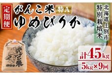 【F7069】＜令和7年産 先行予約！＞《定期便・全9回》田舎塾特別栽培米「がんこ米ゆめぴりか」(5kg×9回・計45kg) 【2025年10月中旬以降順次発送】 米 お米 白米 北海道産 北海道米 ゆめぴりか 特A 一等級 ごはん おこめ コメ 単一原料米 定期便 【田舎塾】