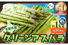 【先行予約】 アスパラ グリーンアスパラ アスパラガス 約 1kg 2Lサイズ (約30本) なよろ観光まちづくり協会《2025年5月下旬-6月下旬頃出荷予定》北海道 名寄市 送料無料 春 野菜 取り寄せ 朝採り 新鮮 産地直送