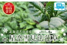 北海道名寄産 星空雪見法蓮草《2026年1月中旬頃出荷予定》名寄産 星空雪見 法蓮草 星空 雪見 法蓮草 ほうれん草 北海道 名寄市 野菜 ホウレンソウ 野菜ソムリエ やさい 