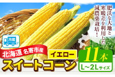 【先行予約】令和7年産 北海道 名寄産 スイートコーン イエロー L〜2Lサイズ 11本 《2025年8月中旬-9月上旬頃より順次出荷予定》 NPO法人なよろ観光まちづくり協会 北海道 とうもろこし トウモロコシ  Lサイズ 2Lサイズ 取り寄せ 新鮮 産地直送 甘い 糖度 冷蔵