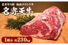北海道 名寄市 ニチロ畜産 なよろ天牛 1頭分《ご寄附から2ヶ月前後》北海道 名寄市 牛 牛肉 ロース ヒレ バラ モモ カタ ウデ バーベキュー ステーキ 焼肉 炒め物