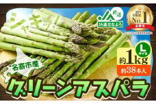【先行予約】 アスパラ グリーンアスパラ アスパラガス 約1kg Lサイズ (約38本) なよろ観光まちづくり協会《2025年5月下旬-6月下旬頃出荷予定》北海道 名寄市 送料無料 春 野菜 取り寄せ 朝採り 新鮮 産地直送