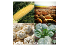 【定期便】北海道名寄産　季節の野菜セット全4回◇