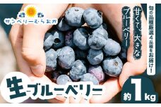 生ブルーベリー 約1kg サンベリーむらおか 《2024年7月下旬～8月上旬頃出荷》北海道 名寄市 ブルーベリージャム フルーツ 果物 くだもの  ケーキ 作り お菓子 スイーツ 贈り物 贈答用 内祝い ギフト 国産【配送不可地域あり】