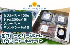 生ブルーベリー＆ジャムセット サンベリーむらおか　《7月下旬～8月上旬頃出荷》北海道 名寄市 ブルーベリージャム フルーツ 果物 くだもの ケーキ 作り お菓子 スイーツ 贈り物 贈答用 内祝い ギフト 国産【配送不可地域あり】