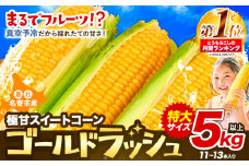 【先行予約】【特大】とうもろこし 極甘 スイートコーン 「 ゴールドラッシュ 」 5kg 以上 11～13本 特大 サイズ　来年分先行予約 受付中 【2025年8月上旬-9月中旬頃出荷】  特大 北海道 北海道 朝採れ 真空予冷 冷蔵 高糖度 夏野菜 