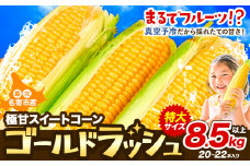 【先行予約】【特大】とうもろこし 極甘 スイートコーン 「 ゴールドラッシュ 」 8.5kg 以上 【2025年8月上旬-9月中旬頃出荷】 とうもろこし 極甘 スイートコーン 「 ゴールドラッシュ 」 特大 北海道20～22本 特大 サイズ北海道 朝採れ 真空予冷 冷蔵 高糖度  トウモロコシ ギフト お中元 コーン