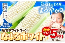 【先行予約】 受付中  とうもろこし ホワイトコーン 「 なよろホワイト 」 5kg 以上 11～13本  【2025年8月上旬-9月中旬頃出荷】特大 サイズ北海道 朝採り 真空予冷 冷蔵 高糖度 ピュアホワイト トウモロコシ ギフト お中元 コーン