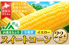 【先行予約】令和7年産 北海道 名寄産 スイートコーン イエロー L～2Lサイズ 22本 《2025年8月中旬-9月上旬頃より順次出荷予定》 NPO法人なよろ観光まちづくり協会 北海道 とうもろこし トウモロコシ Lサイズ 2Lサイズ 取り寄せ 新鮮 産地直送 甘い 糖度 冷蔵