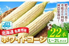 【先行予約】令和7年産 北海道名寄産ホワイトコーン L～2Lサイズ22本 《2025年8月中旬-8月下旬頃より出荷予定》NPO法人なよろ観光まちづくり協会 北海道 とうもろこし トウモロコシ Lサイズ 2Lサイズ お取り寄せ 旬 新鮮 産地直送 甘い 糖度 22本 冷蔵