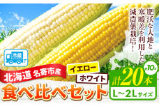 【先行予約】令和7年産 北海道名寄産ホワイトコーン＆スイートコーンイエロー食べ比べセット L～2Lサイズ各10本計20本《2025年8月中旬-9月上旬頃より出荷予定》NPO法人なよろ観光まちづくり協会 とうもろこし 食べ比べ 旬 新鮮 産地直送 糖度 冷蔵 レビュー高評価
