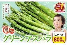 【先行予約】朝採りアスパラガス Lサイズ(800g) 《2026年5月中旬-5月下旬頃出荷予定》北海道 名寄市 送料無料 朝採り 新鮮 アスパラ