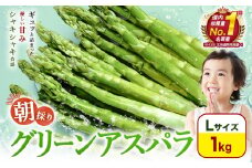 【先行予約】朝採りアスパラガス Lサイズ(1kg) 《2026年5月中旬-5月下旬頃出荷予定》北海道 名寄市 送料無料 朝採り 新鮮 アスパラ