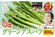 【先行予約】朝採りアスパラガス 2Lサイズ(800g) 《2026年5月中旬-5月下旬頃出荷予定》北海道 名寄市 送料無料 朝採り 新鮮 アスパラ