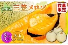 【SDGs】《2025年分受付中》大玉！とろける食感と甘い香り北海道三笠メロン3玉入（4.5kg～4.8kg）【0100202】