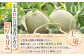【SDGs】《2025年分受付中》大玉！とろける食感と甘い香り北海道三笠メロン3玉入（4.5kg～4.8kg）