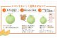 【SDGs】《2025年分受付中》大玉！とろける食感と甘い香り北海道三笠メロン3玉入（4.5kg～4.8kg）