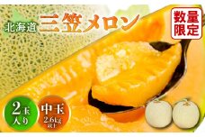 《好評につき8/22まで延長！！》とろける食感と甘い香り北海道三笠メロン2玉入（2.6kg以上）【0100103】