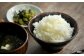 令和7年産 三笠産のおいしい米 ゆめぴりか(10kg)《令和７年10月頃より発送予定》