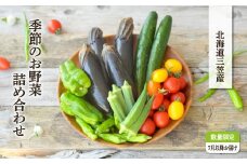 《令和7年分》数量限定！季節のお野菜詰め合わせ 夏(配送時期：7月～8月)【01017】